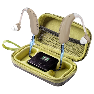 Слуховой аппарат с двойным шумоподавлением Binauris-1